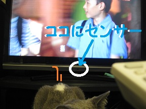 かえられないTV (3).jpg