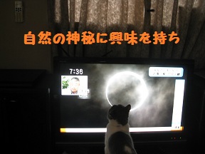 きになるTV (1).jpg
