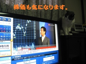 きになるTV (4).jpg